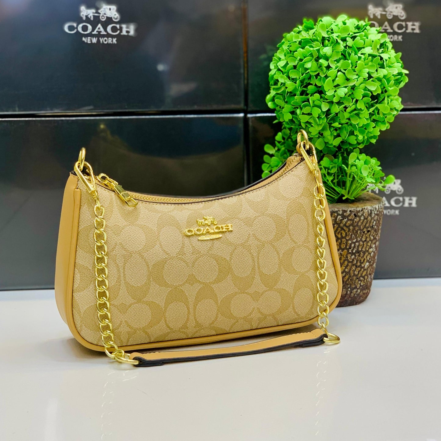 C*ach Bags ( 5 colours )