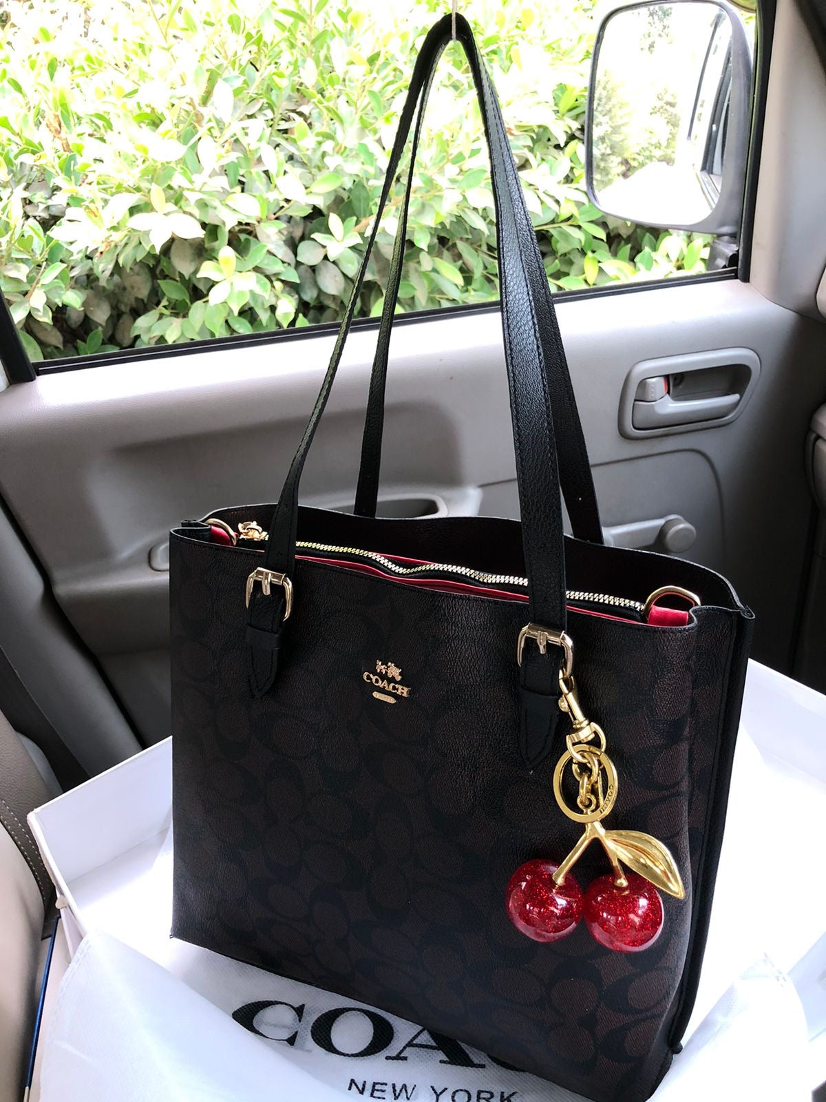 C*ach Handbags ( 3 Shades )