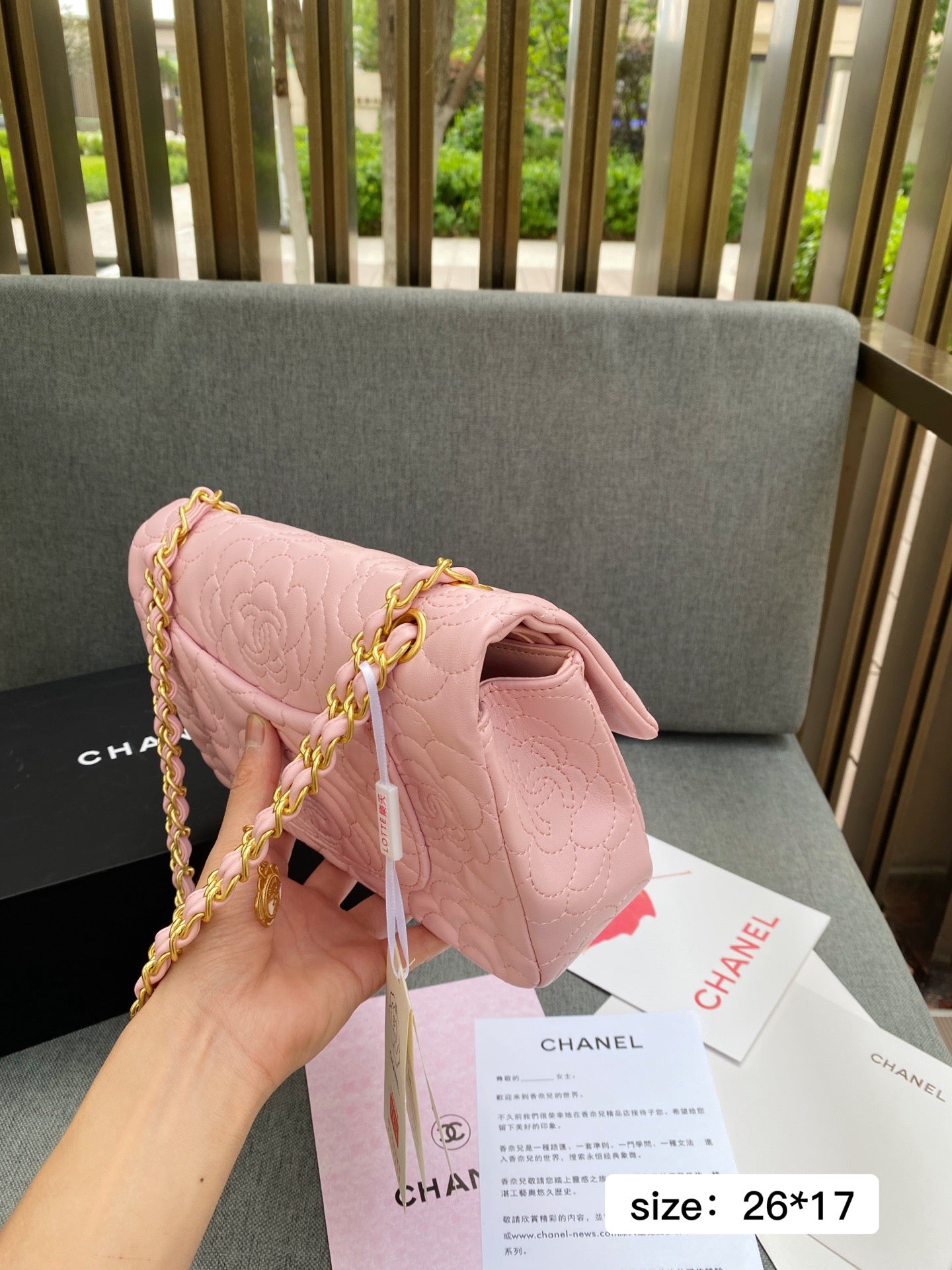 Cha*el Brand Bag