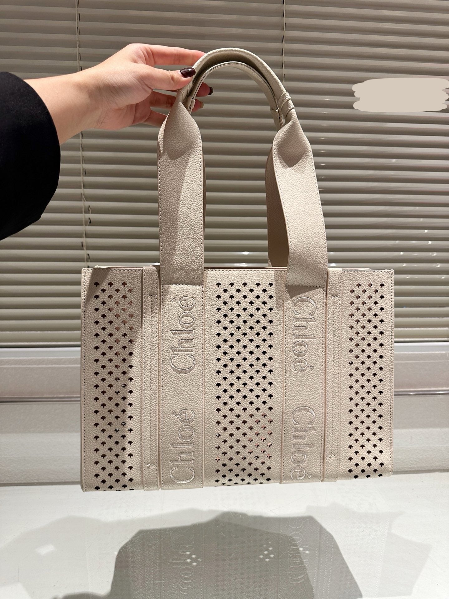 Chl*e Bag ( 3 Colours )