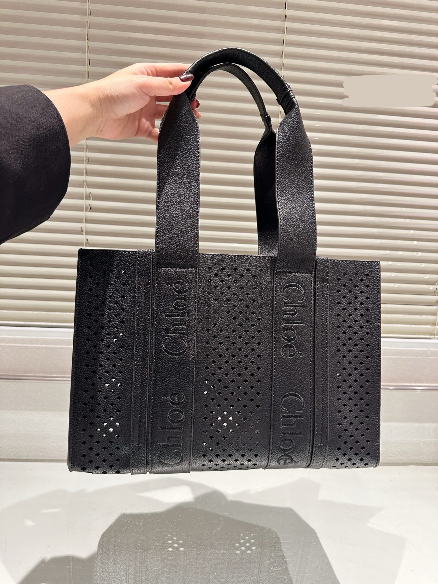 Chl*e Bag ( 3 Colours )