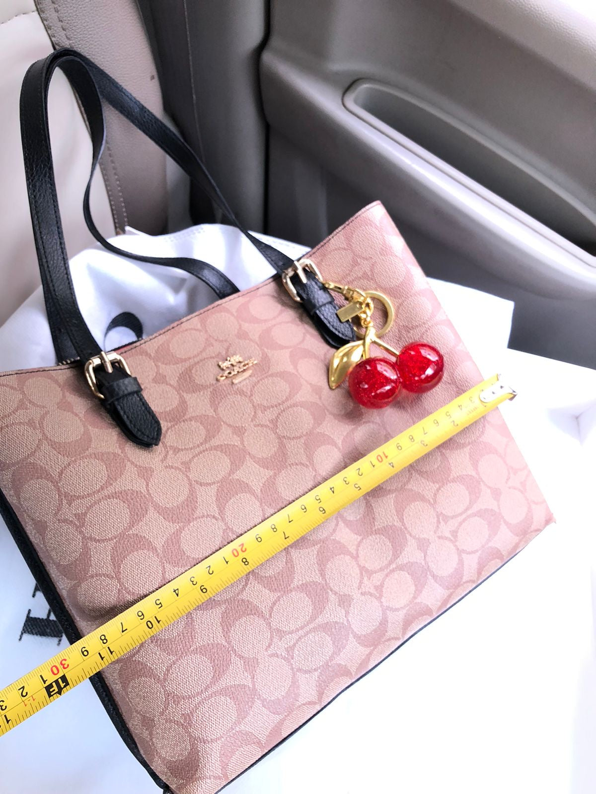 C*ach Handbags ( 3 Shades )