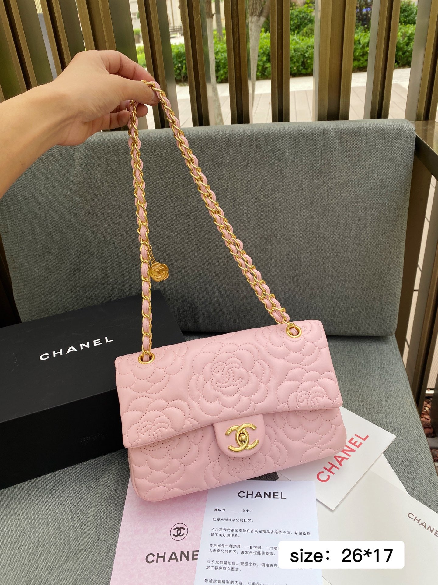 Cha*el Brand Bag