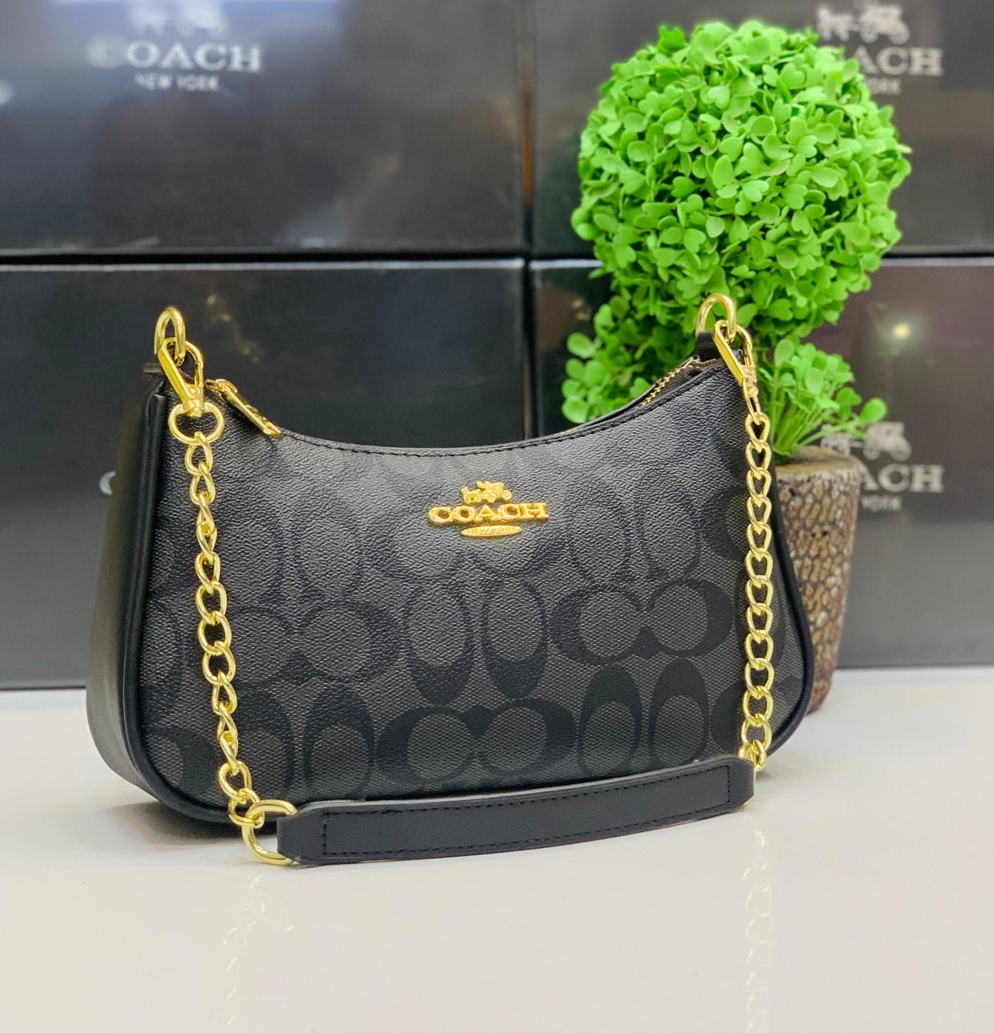 C*ach Bags ( 5 colours )