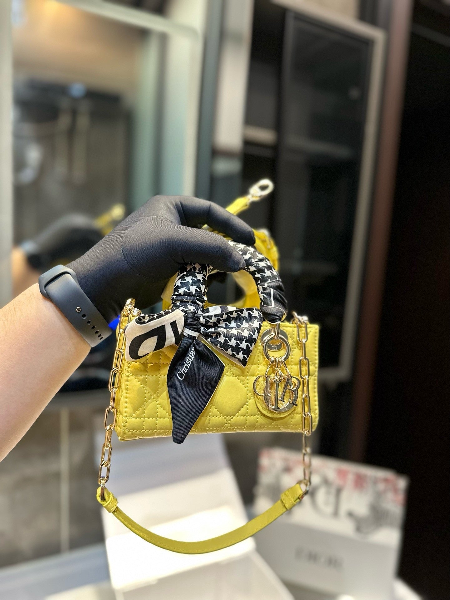Di*r Mini Handbag ( 7 Colours )